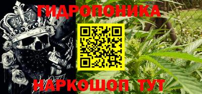 дживик Кунгур