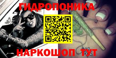 дживик Кунгур