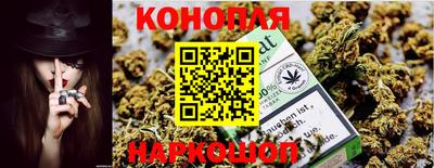 дживик Кунгур