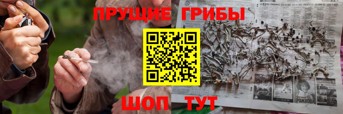 наркота  Псилоцибиновые грибы MAGIC MUSHROOMS  Вход с VPN  Елец  Псилоцибиновые грибы MAGIC MUSHROOMS 