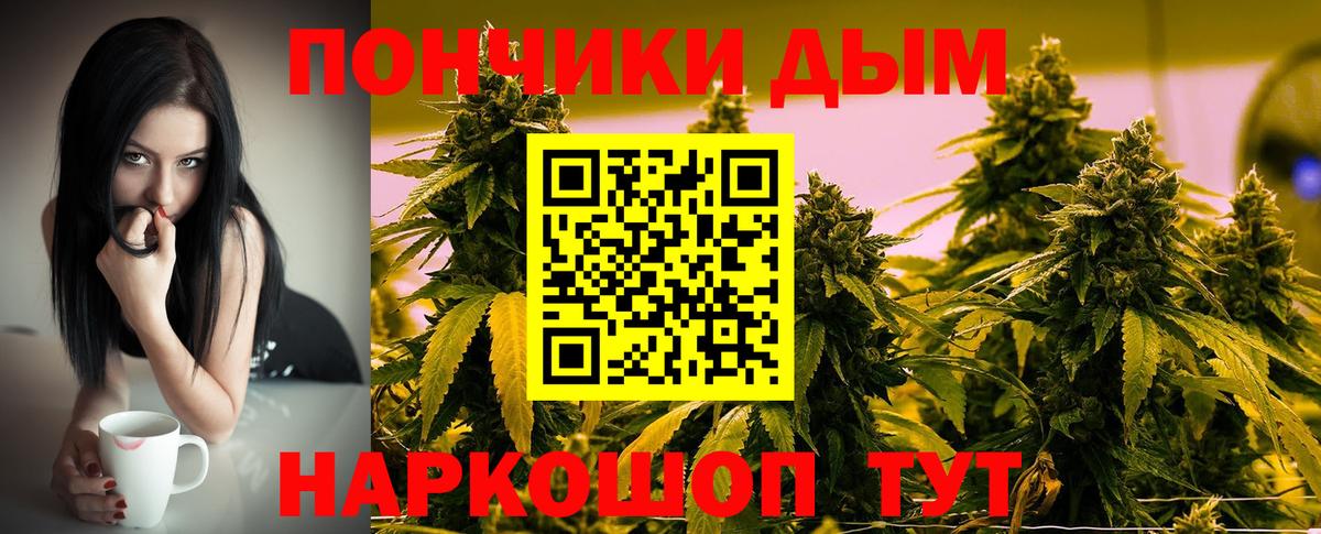 Бошки Шишки конопля Елец